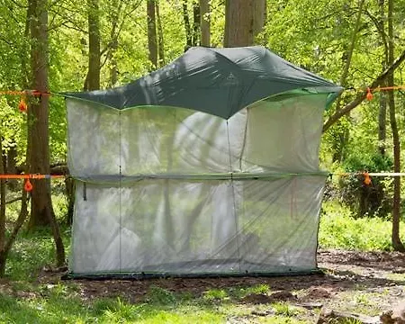 Pine Sky - Hammock Camp