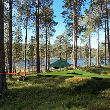 Pine Sky - Hammock Camp *