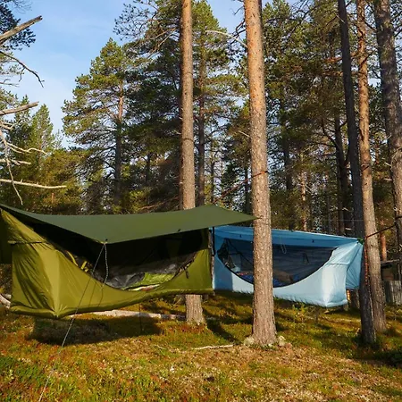 Pine Sky - Hammock Camp