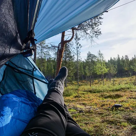 Pine Sky - Hammock Camp Inari